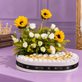 Chocolate Tray
