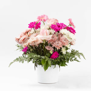 Petal Blush
