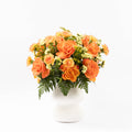 Amber Bloom