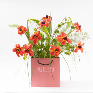 Coral Rush