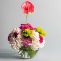 The Pink Stem